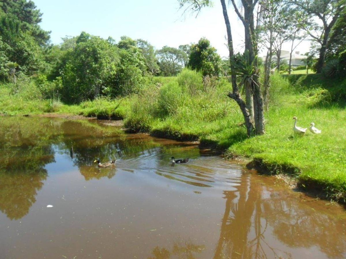 Lote/Terreno à Venda - Gravataí — foto 3