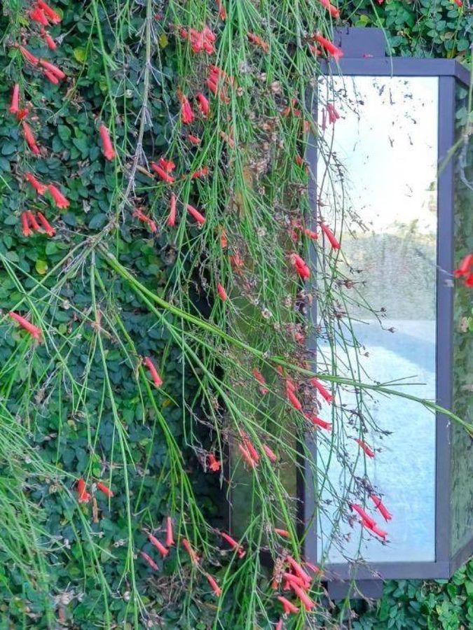 Casa em condomínio - Paragem dos Verdes Campos - Gravataí — foto 73