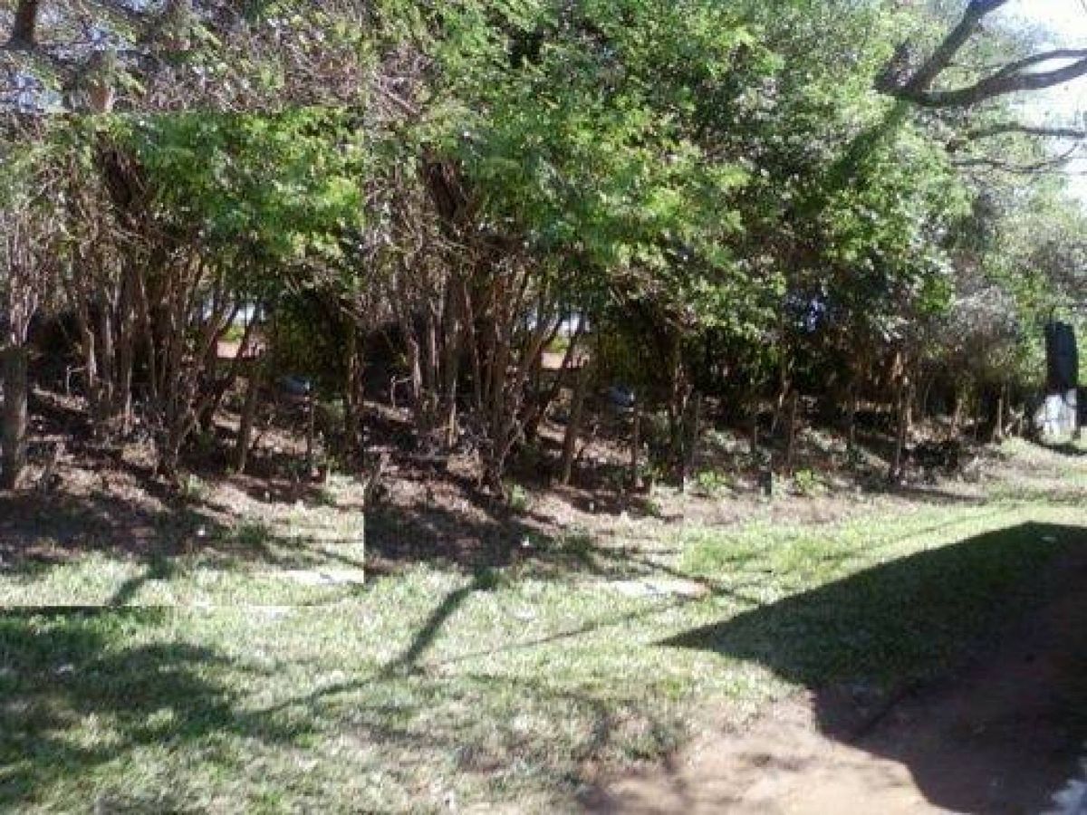Terreno residencial à venda, Passo das Pedras, Gravataí - TE0039.