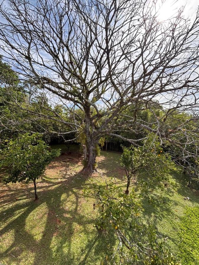 Casa com 4 dormitórios à venda, 341 m² - Paragem dos Verdes Campos - Gravataí/RS — foto 30