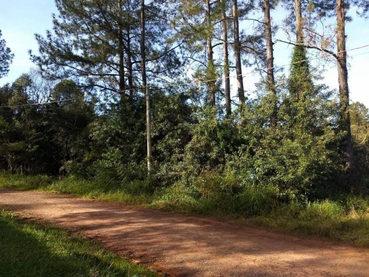 Terreno à venda, 2400 m² por R$ 280.000,00 - Recanto da Corcunda - Gravataí/RS — foto 2