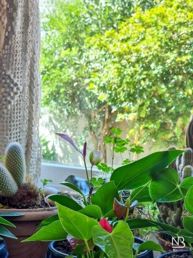 Casa à venda com amplo terraço - Alphaville - Gravataí/RS — foto 24