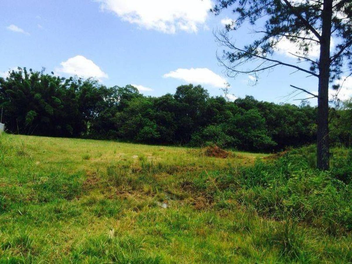 Terreno à venda, 1800 m² - Recanto da Corcunda - Gravataí/RS