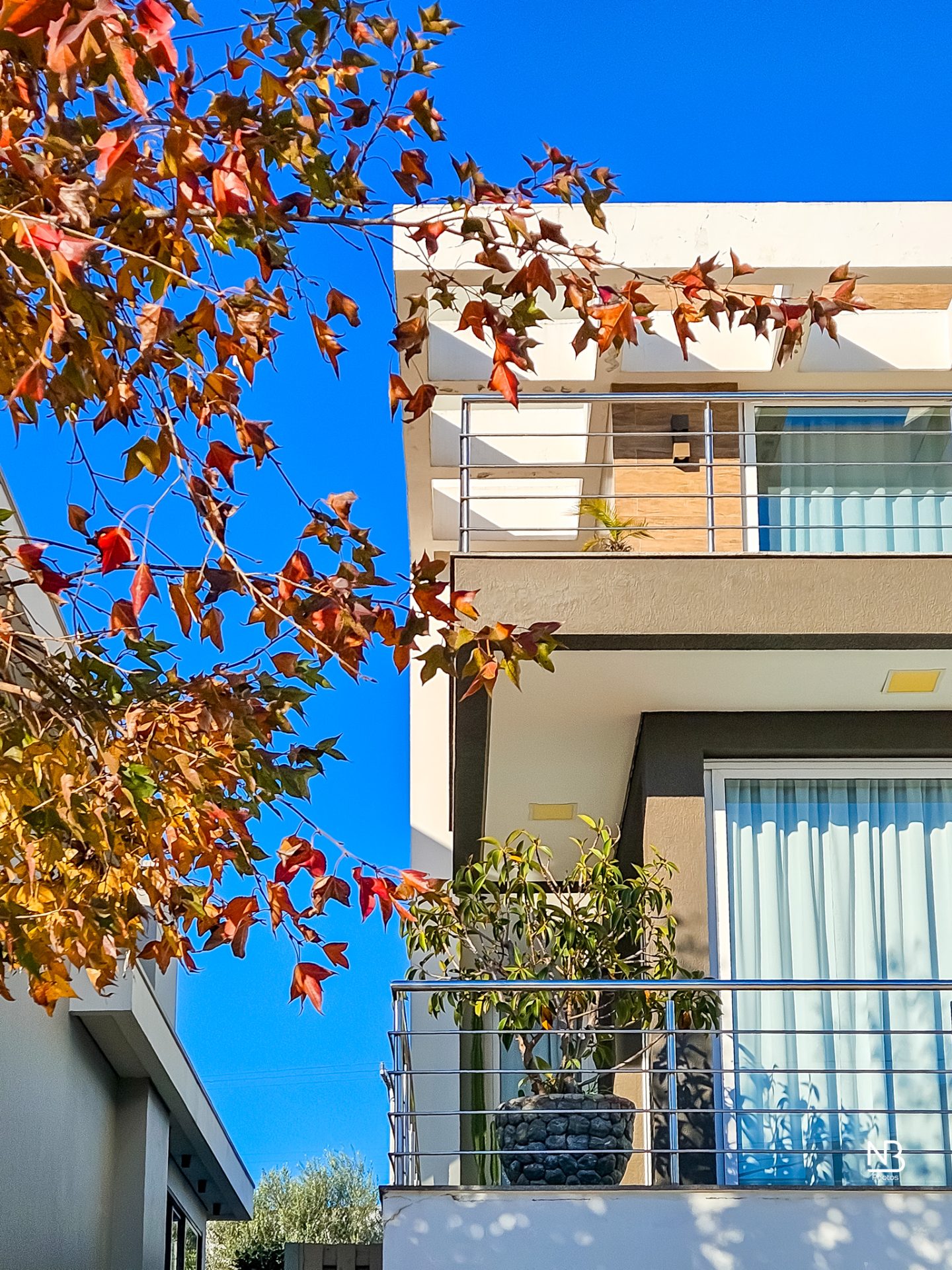 Casa 3 dormitórios · 300 m² — foto 3