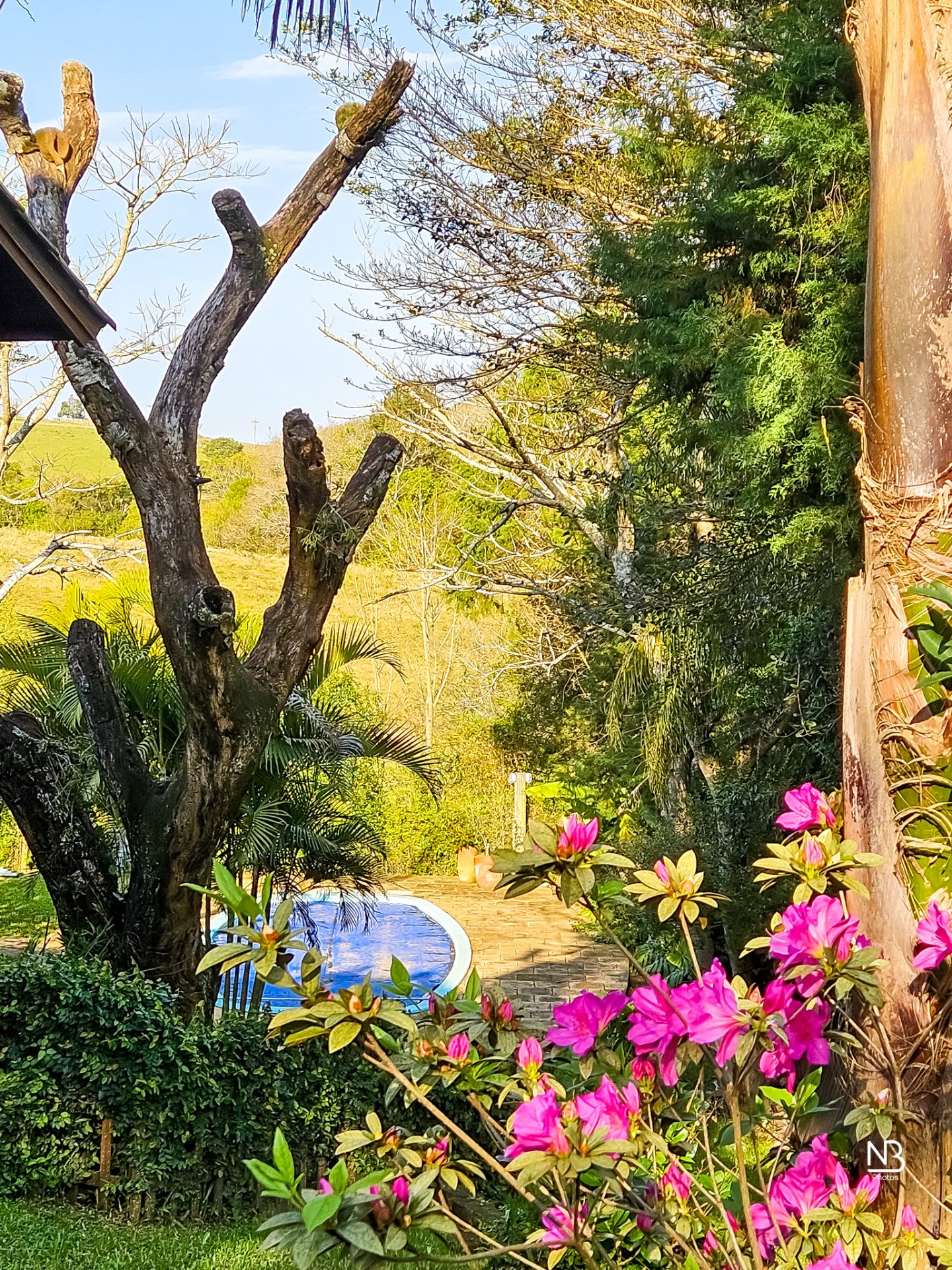 Casa 5 dormitórios · 240 m² — foto 3