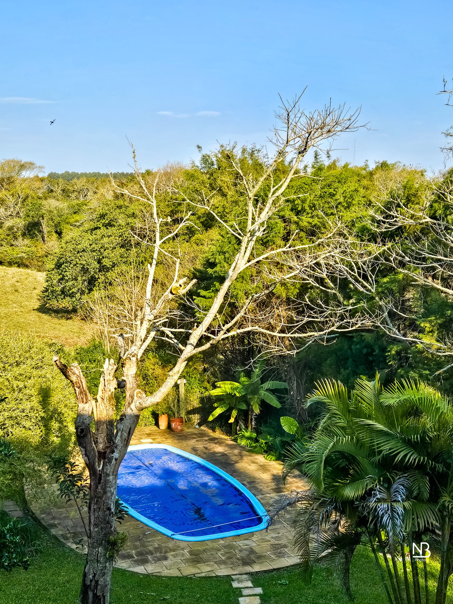 Casa 5 dormitórios · 240 m² — foto 34