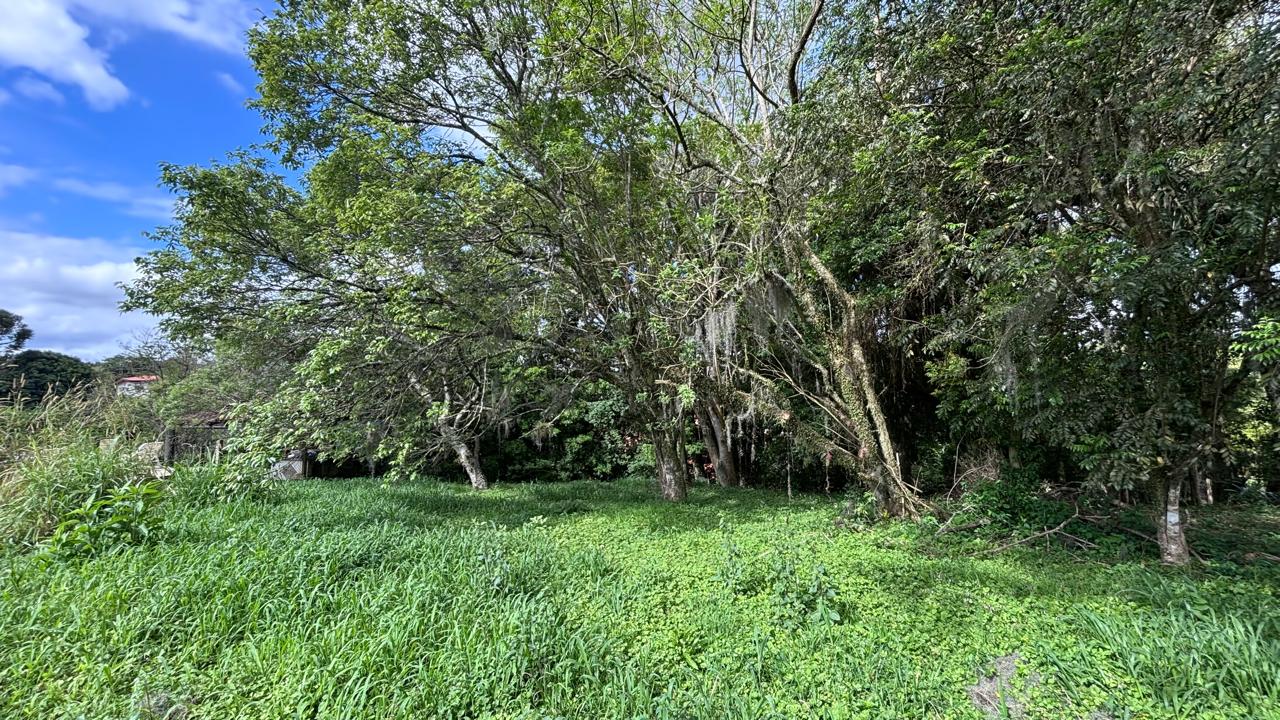 Terreno 2.500 m² — foto 5