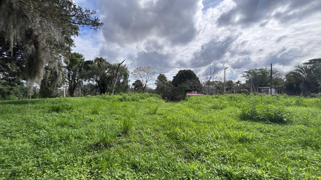 Terreno 2.500 m²