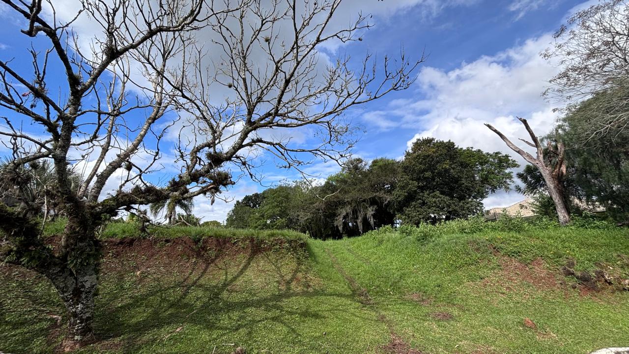 Terreno 2.500 m² — foto 4