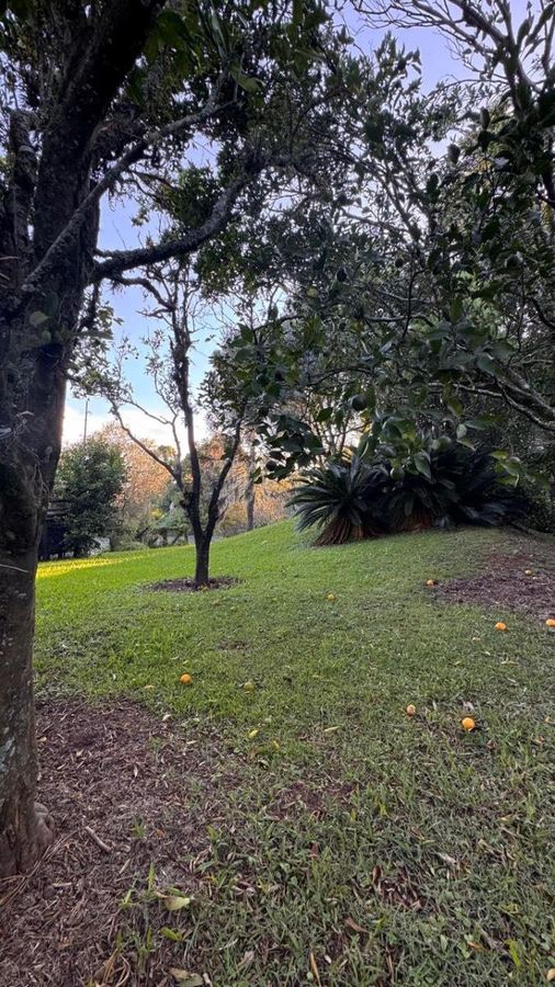 Lote/Terreno, Paragem dos Verdes Campos - Gravataí — foto 4