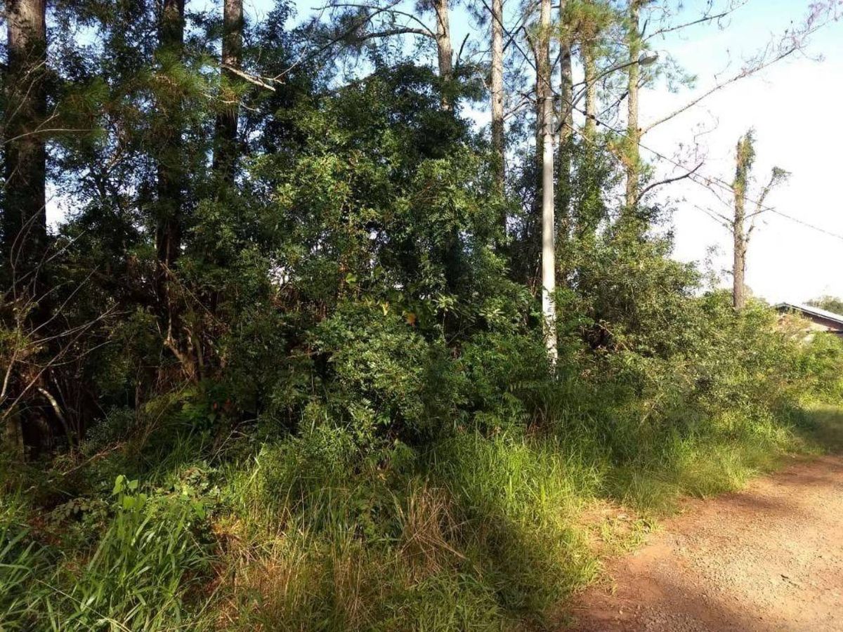 Terreno à venda, 2400 m² por R$ 280.000,00 - Recanto da Corcunda - Gravataí/RS — foto 2