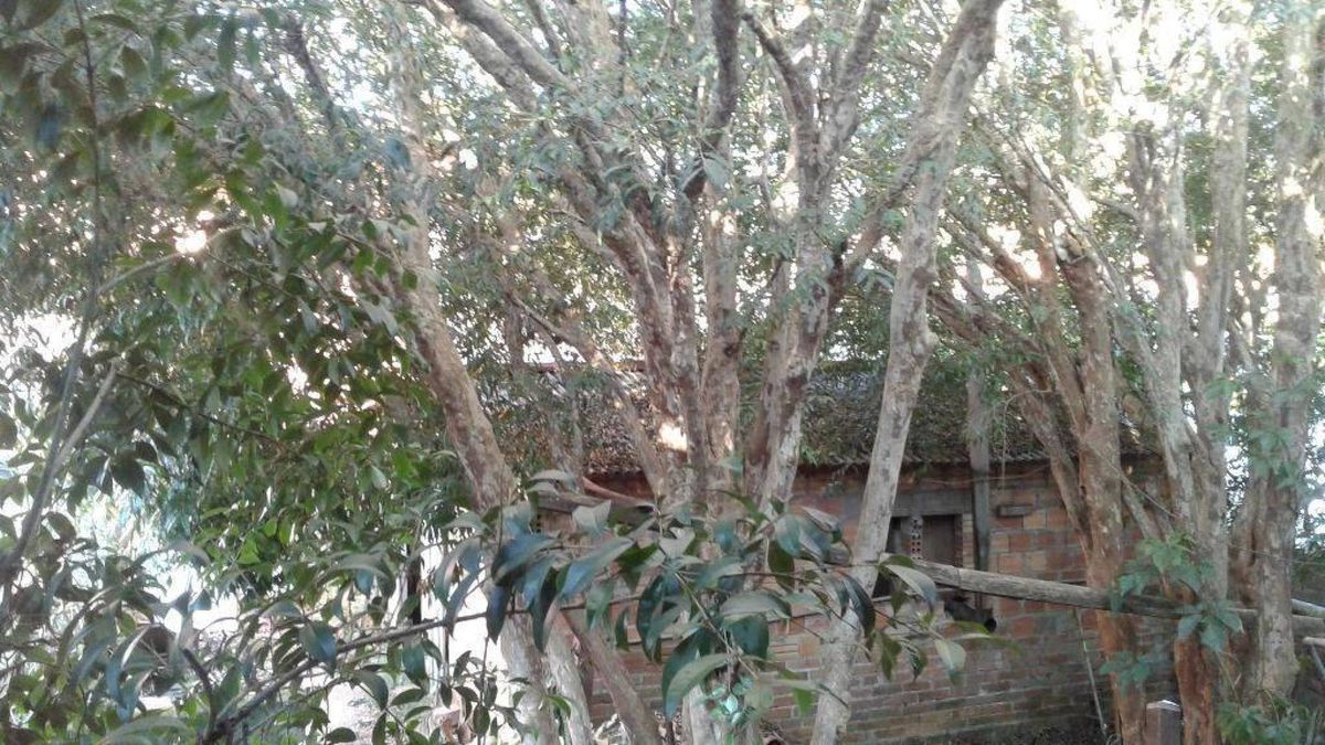 Casa à venda, 110 m² por R$ 400.000,00 - Santa Luzia - Gravataí/RS — foto 20