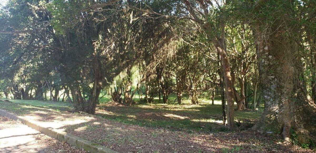Terreno à venda, 6920 m² - Paragem dos Verdes Campos - Gravataí/RS — foto 3