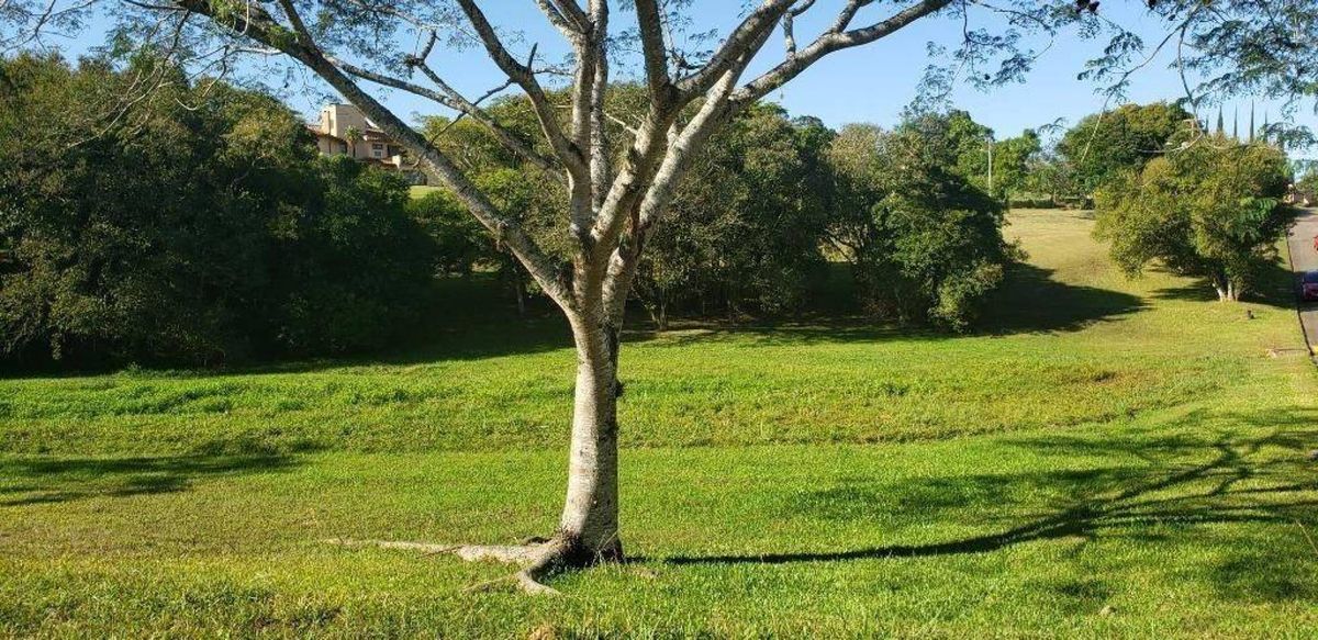 Terreno à venda, 6920 m² - Paragem dos Verdes Campos - Gravataí/RS — foto 7