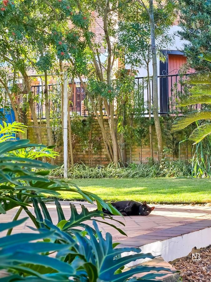 Casa com 4 Dormitórios à Venda, 270 M² - Dom Feliciano - Gravataí/Rs — foto 25